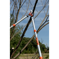 Sekator dwuręczny teleskopowy 700-900 mm maks. cięcie Ø 40 mm EXPERT PG-19-F BAHCO
