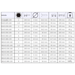 Wkrętak imbusowy z kulką hex 2 x 100 mm B143.020.100 Bahco FIT